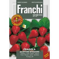 Franchi Sementi Seeds - Strawberry